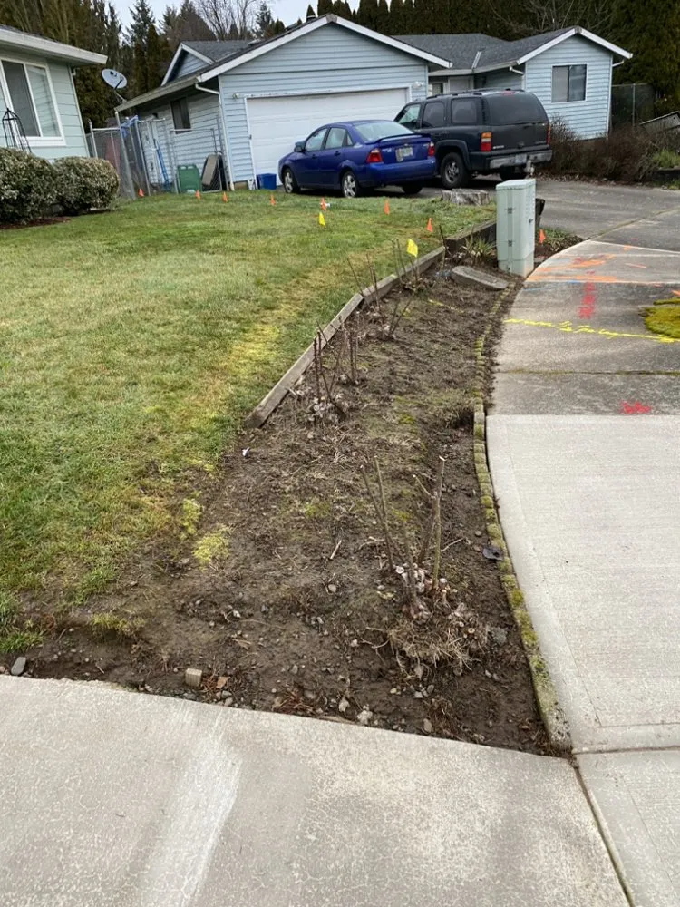 Reliable landscape installation experts serving Woodburn, OR - Hector Landscape & Construction