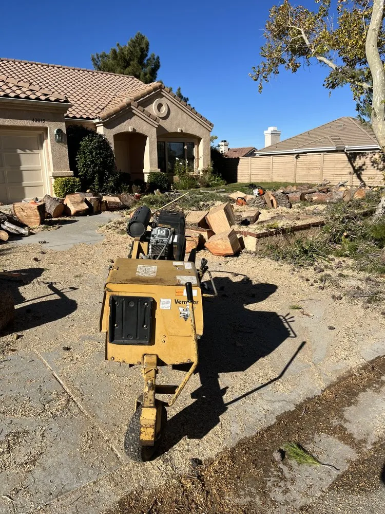 Top-rated lawn care service in Lancaster, CA by Hector Landscape and Construction