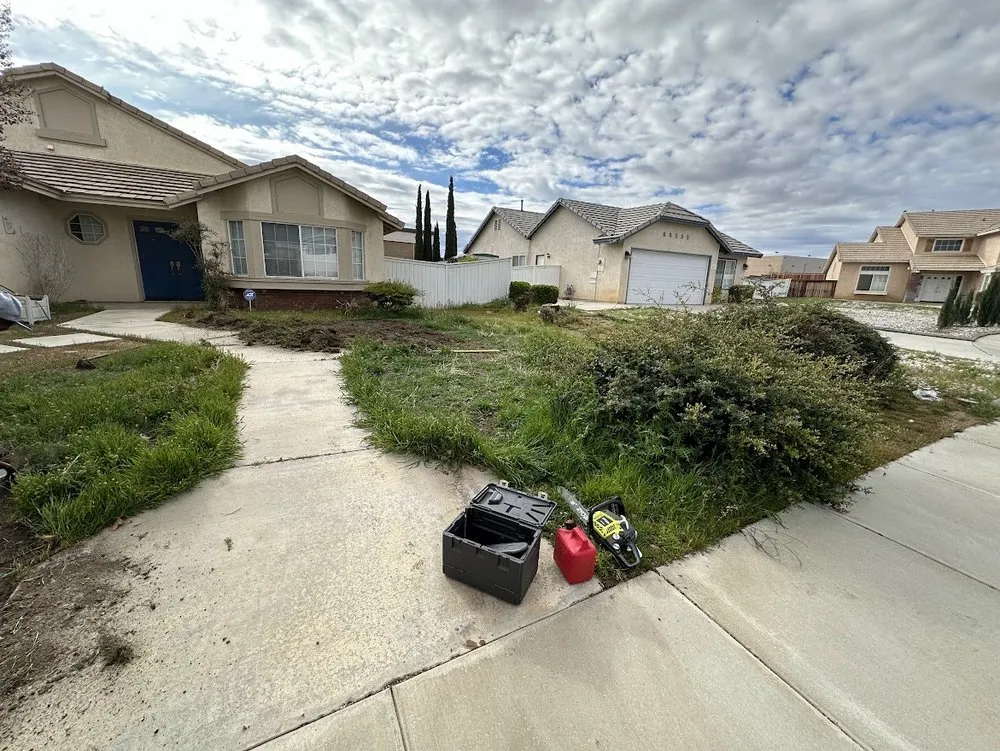 Professional landscape design for homes in Lancaster, CA by Hector Landscape and Construction