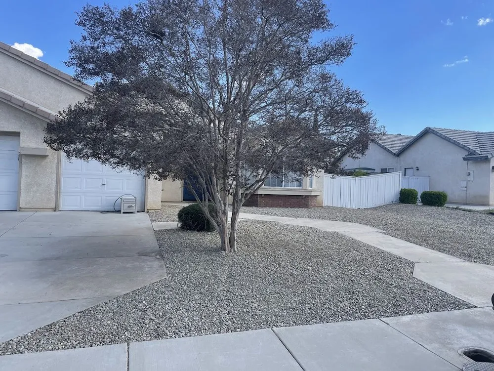 Expert yard maintenance near you in Lancaster, CA by Hector Landscape and Construction