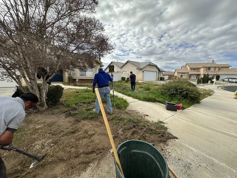 Affordable landscaping services for year-round maintenance in Lancaster, CA by Hector Landscape and Construction