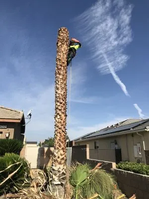 Hector Landscape and Construction