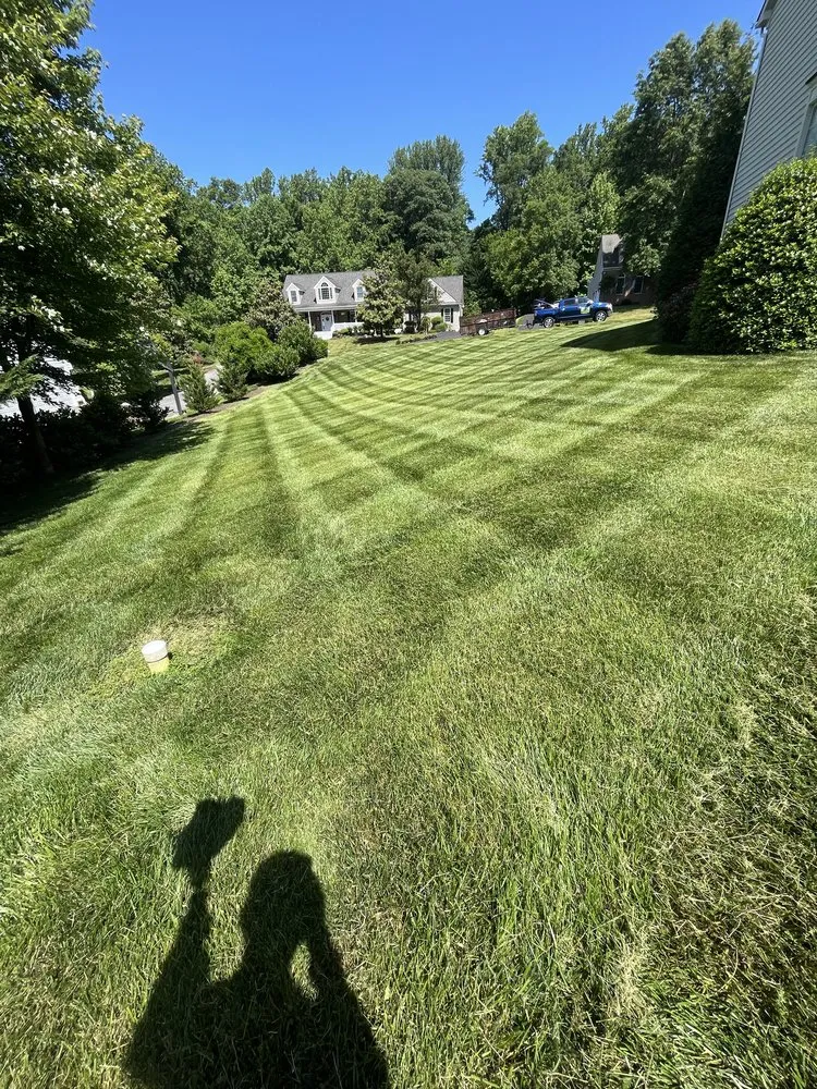 Top-rated lawn mowing service in Annapolis, MD by Hector Landscaping & Lawn Service