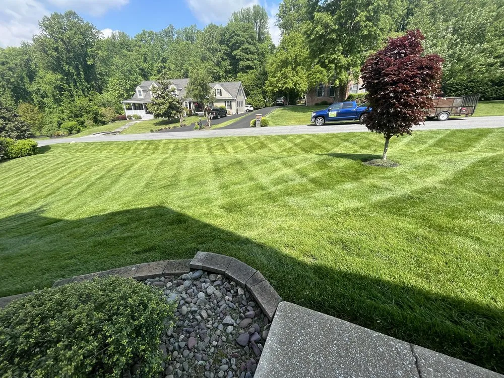 Custom landscaping services in Annapolis, MD - Hector Landscaping & Lawn Service