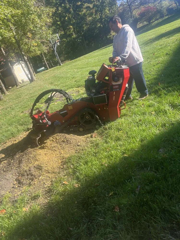 Top-rated lawn mowing service in Annapolis, MD - Hector Landscaping & Lawn Service