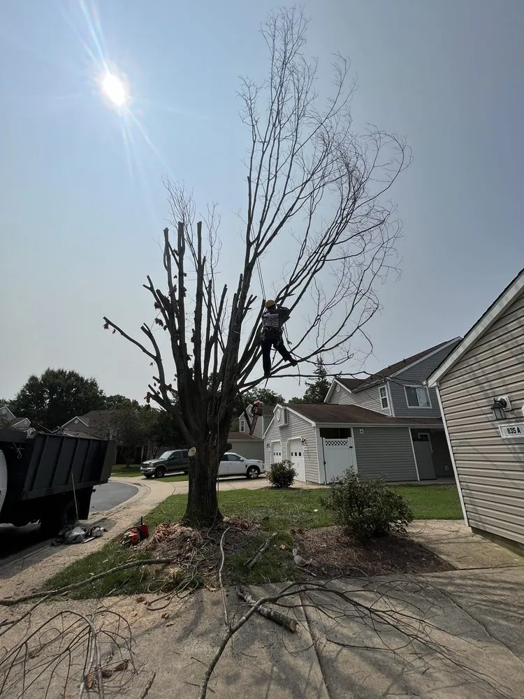 Expert landscape design experts serving Annapolis, MD - Hector Landscaping & Lawn Service