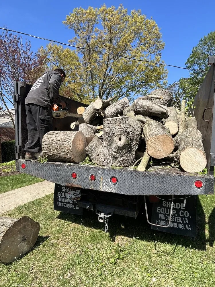 Custom landscape design in Annapolis, MD by Hector Landscaping & Lawn Service