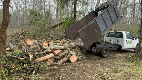 Hector Landscaping & Lawn Service