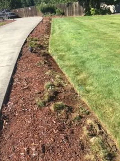 Trusted yard maintenance in Belfair, WA by Hector Landscaping