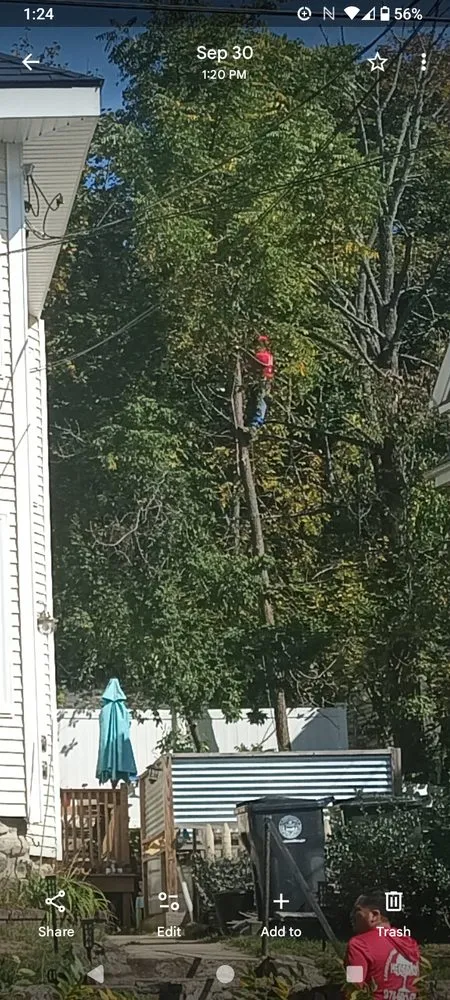 Trusted yard maintenance experts serving Lynn, MA - Hector Landscaping