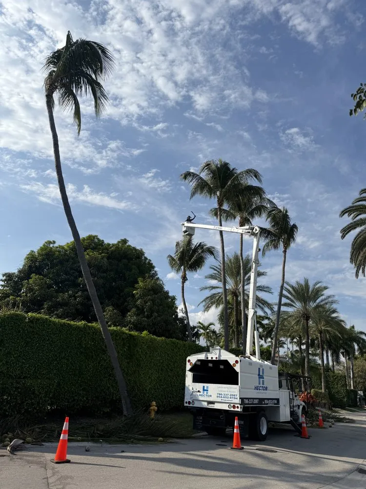 Expert residential landscaping for homes across Miami, FL - Hector landscaping