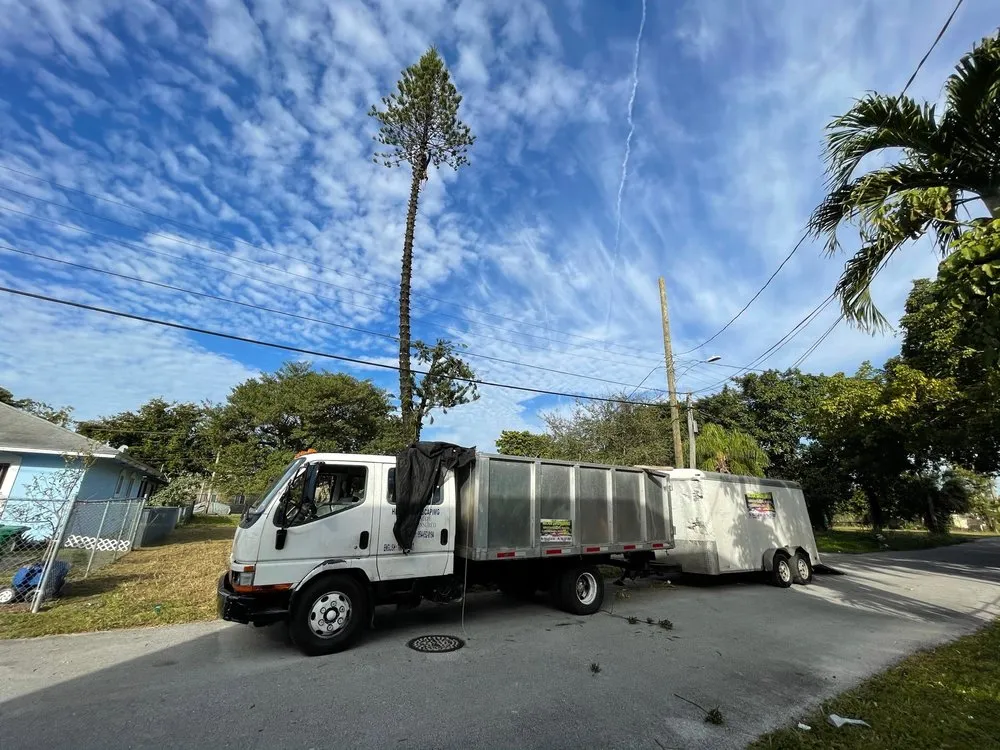 Affordable landscape installation with custom design in Miami, FL by Hector landscaping