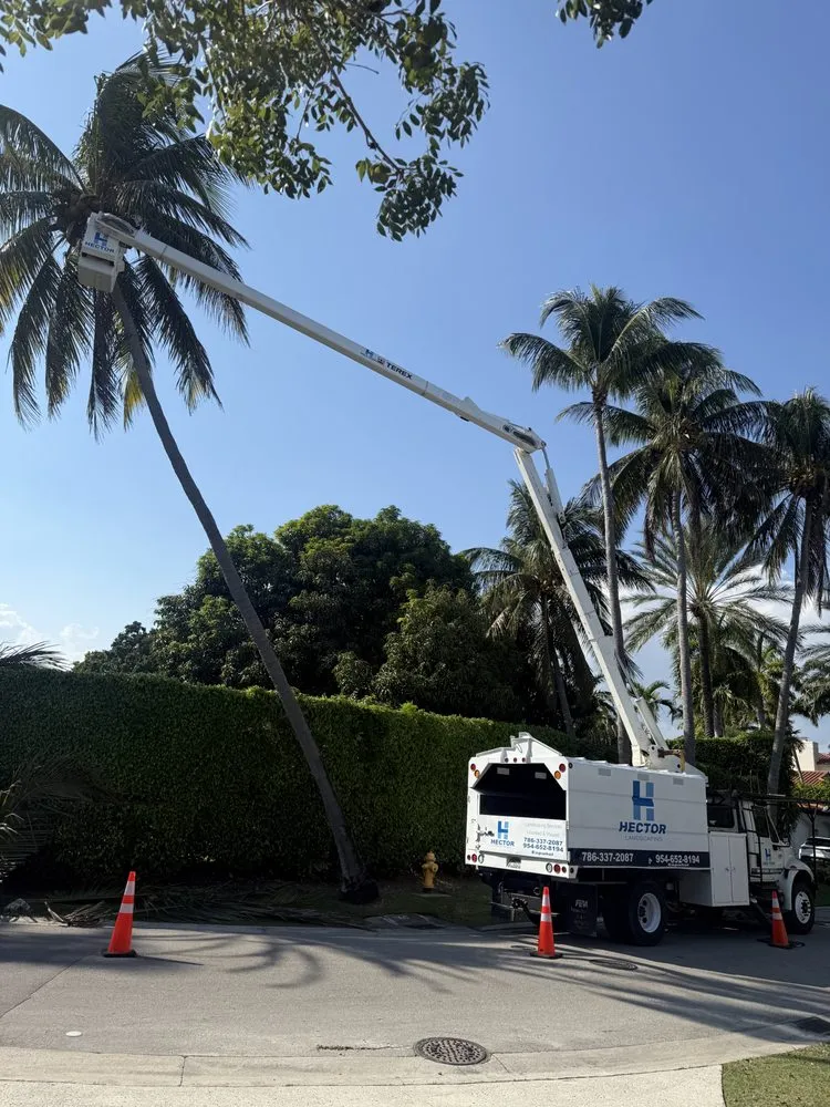 Expert garden landscaping for homes in Miami, FL by Hector landscaping