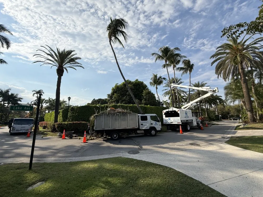 Trusted lawn care service in Miami, FL by Hector landscaping