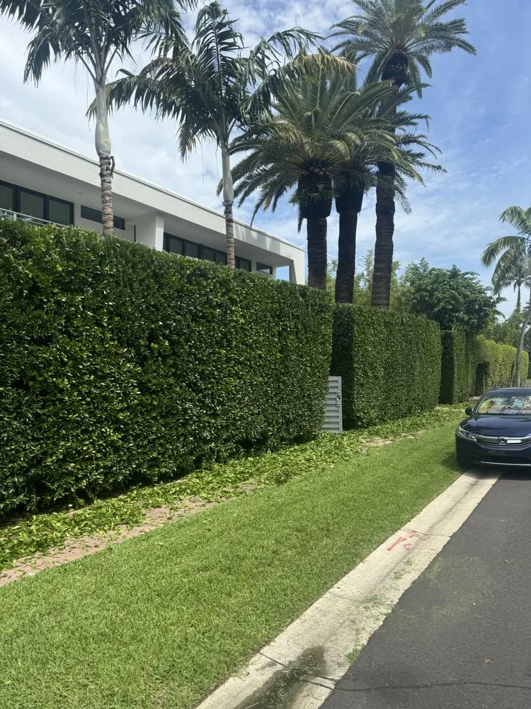 Trusted residential landscaping for beautiful yards in Miami, FL by Hector landscaping