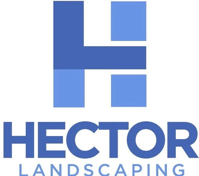 Professional lawn care service for homes in Miami, FL by Hector landscaping