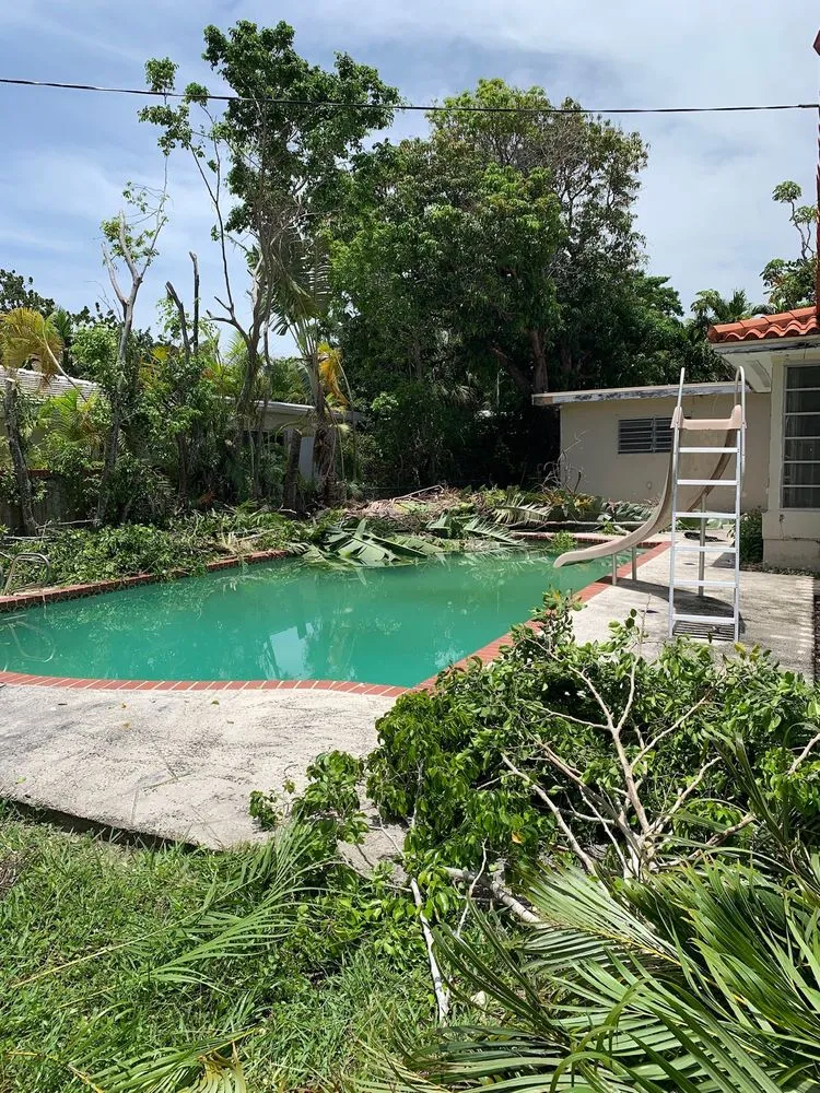 Top-rated lawn mowing service experts serving Miami, FL - Hector landscaping