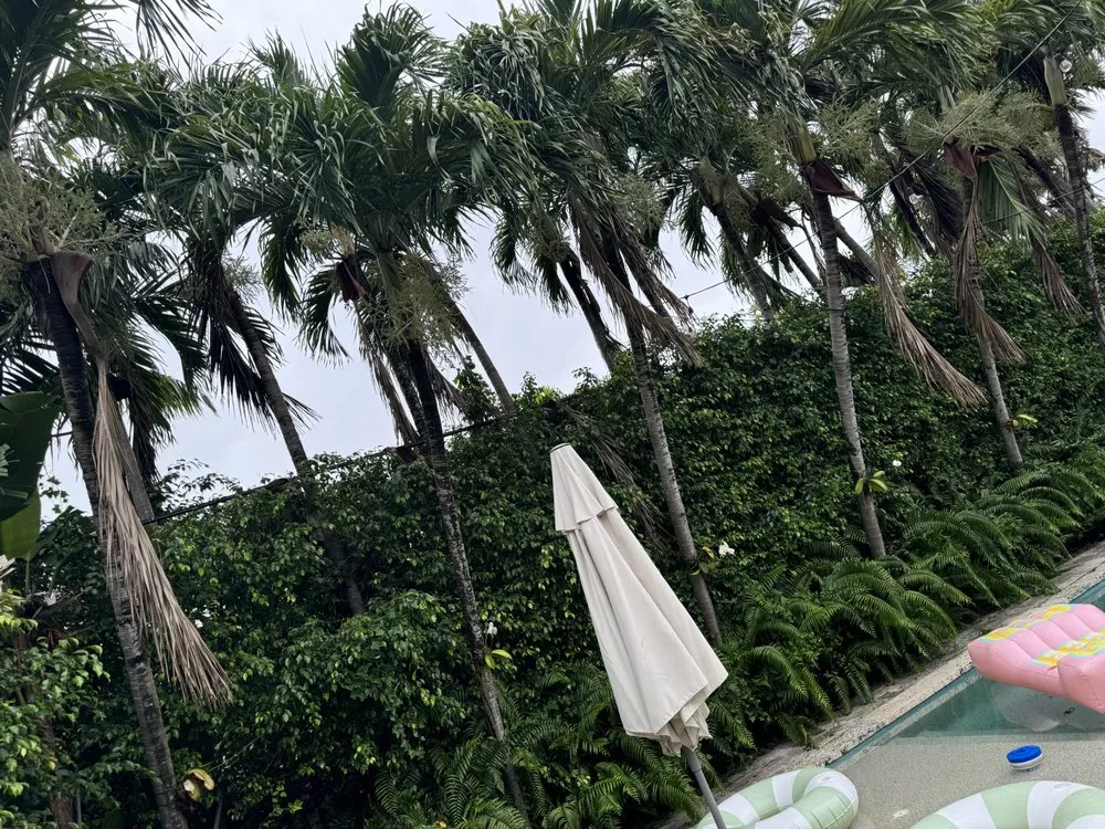 Professional yard maintenance for residential properties across Miami, FL - Hector landscaping