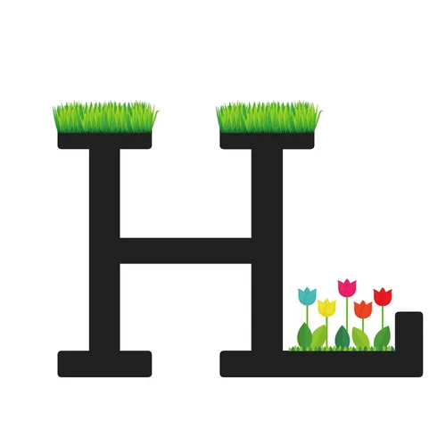 Reliable yard cleanup service for outdoor upgrades across Renton, WA - Hector Landscaping