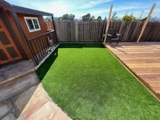 Expert yard cleanup service in Richmond, CA by Hector Landscaping