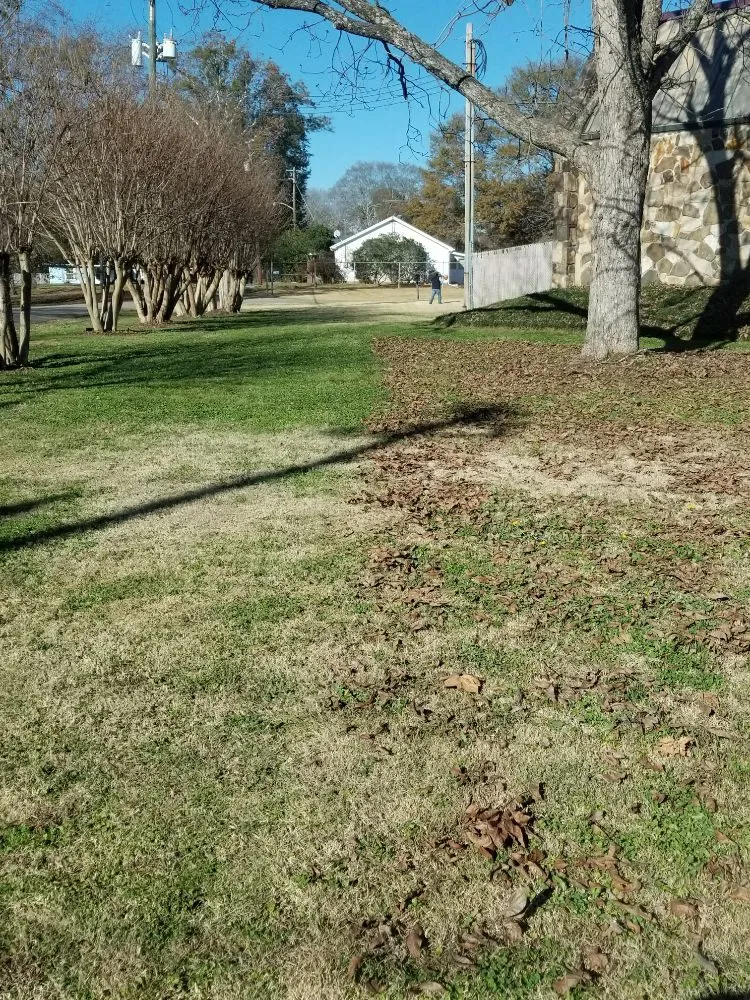 Trusted yard maintenance experts serving Birmingham, AL - Hector Lawn Care