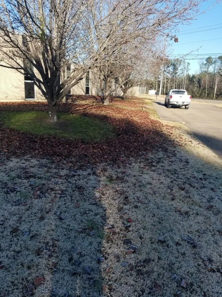 Expert landscape installation in Birmingham, AL - Hector Lawn Care