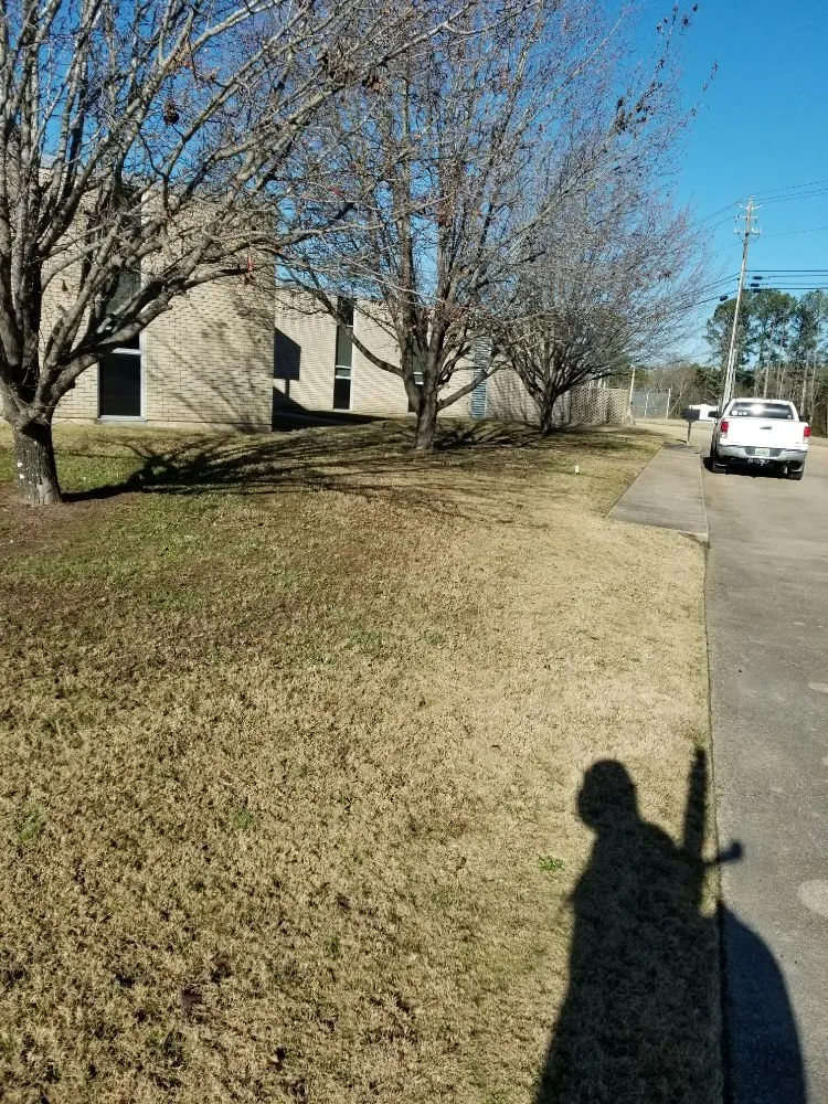 Reliable landscape installation experts serving Birmingham, AL - Hector Lawn Care