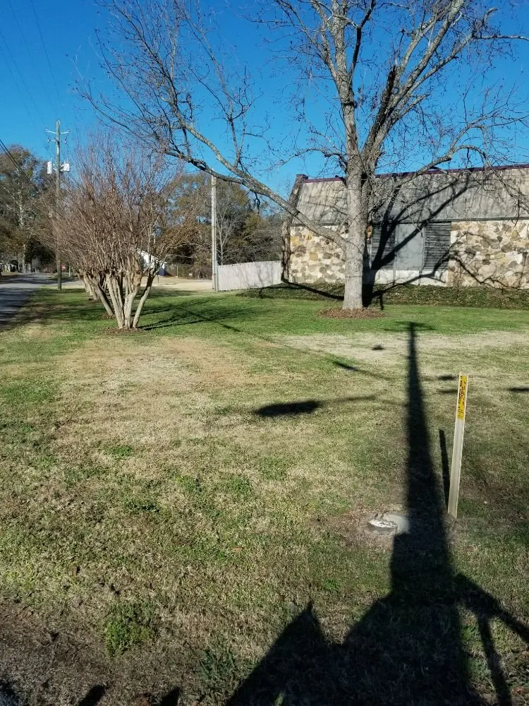 Custom residential landscaping in Birmingham, AL by Hector Lawn Care