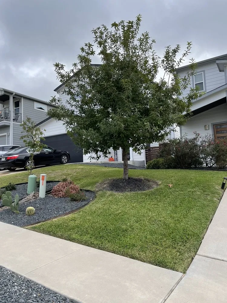 Custom yard cleanup service in Pflugerville, TX - Hector Lawn Services