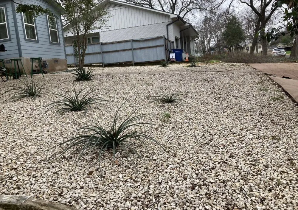Affordable outdoor landscaping in Pflugerville, TX by Hector Lawn Services