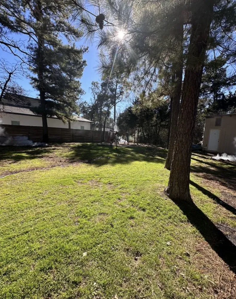 Reliable landscape installation for year-round maintenance in Pflugerville, TX by Hector Lawn Services