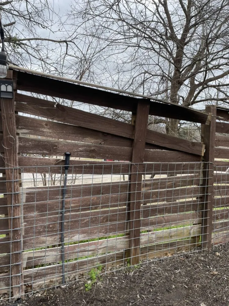 Trusted yard cleanup service for outdoor upgrades in Pflugerville, TX by Hector Lawn Services