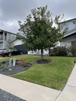 Hector Lawn Services Logo