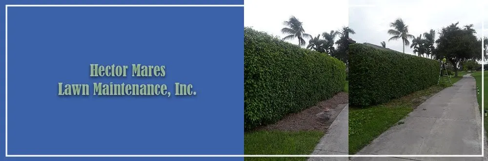 Professional yard cleanup service for year-round maintenance in Naples, FL by Hector Mares Lawn Maintenance
