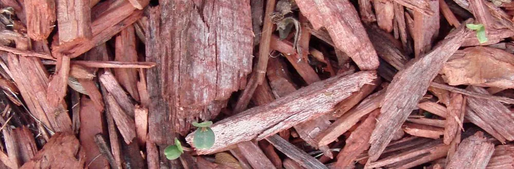 Professional landscape installation for homes in Naples, FL by Hector Mares Lawn Maintenance