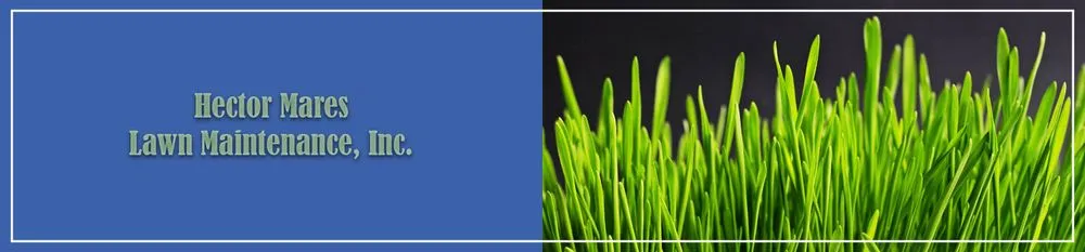 Expert landscape installation experts serving Naples, FL - Hector Mares Lawn Maintenance