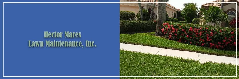 Professional outdoor landscaping in Naples, FL - Hector Mares Lawn Maintenance