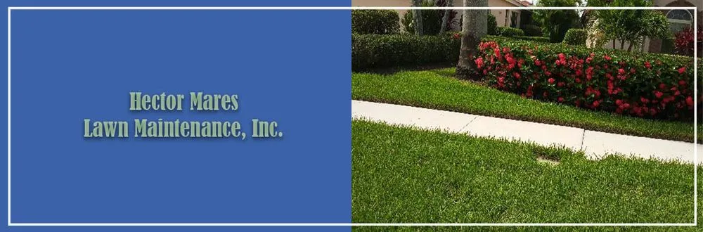 Professional lawn mowing service in Naples, FL - Hector Mares Lawn Maintenance