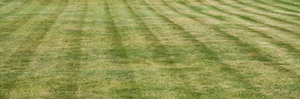 Custom outdoor landscaping with custom design in Naples, FL by Hector Mares Lawn Maintenance