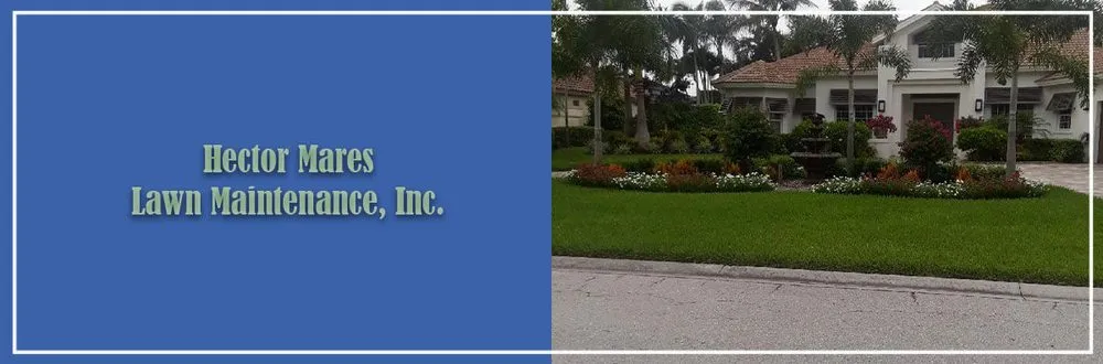 Affordable garden landscaping in Naples, FL by Hector Mares Lawn Maintenance