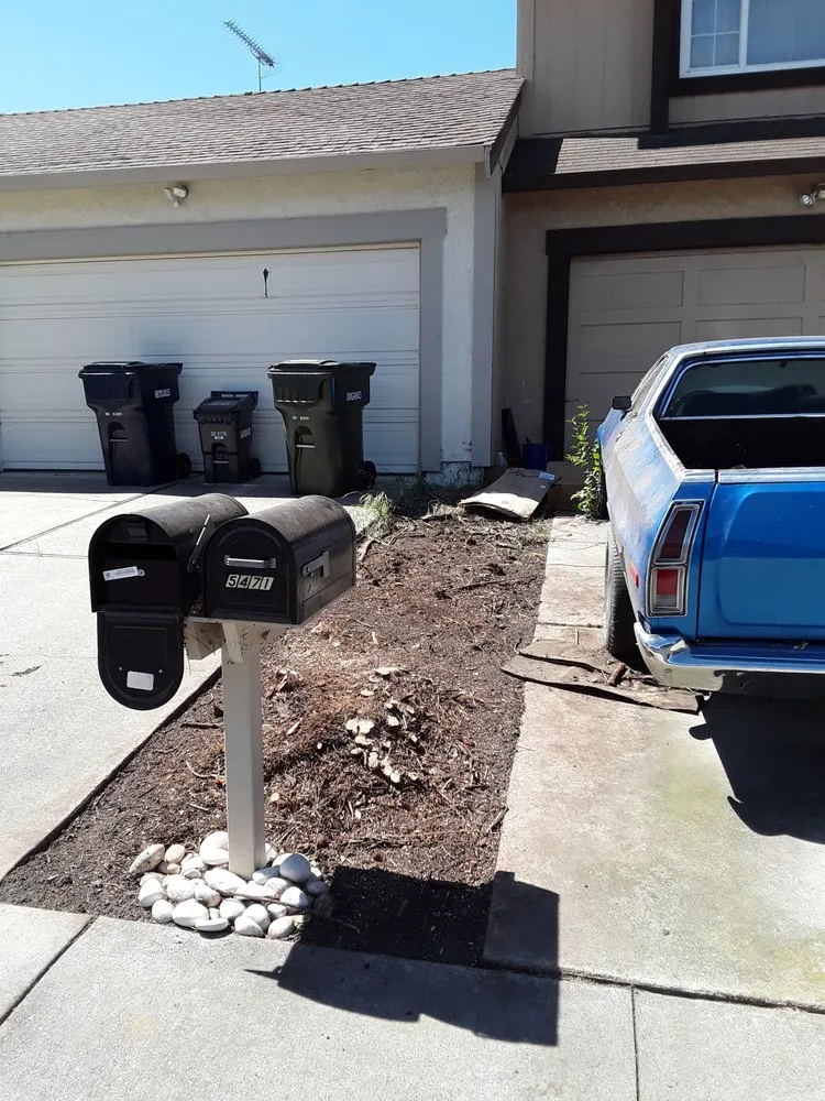 Professional lawn care service in Livermore, CA - Hector Munoz Landscape Maintenance