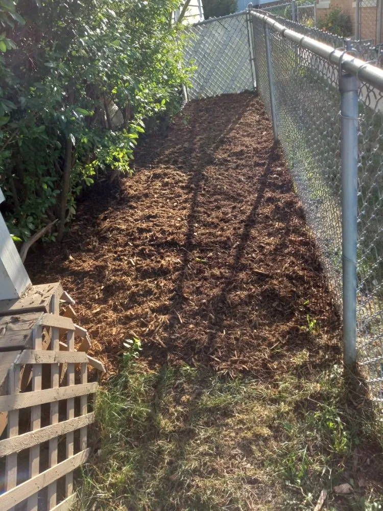 Top-rated yard maintenance in Racine, WI - Hector Palacios Landscaping & Tree Removal Service