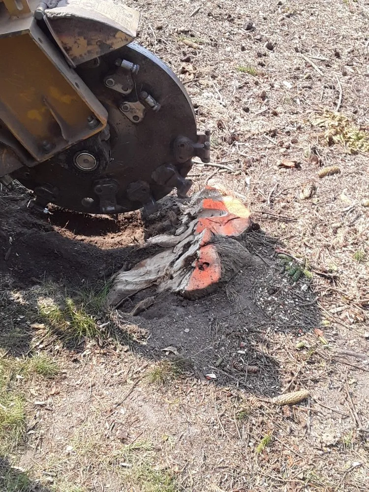 Top-rated residential landscaping for residential properties across Racine, WI - Hector Palacios Landscaping & Tree Removal Service