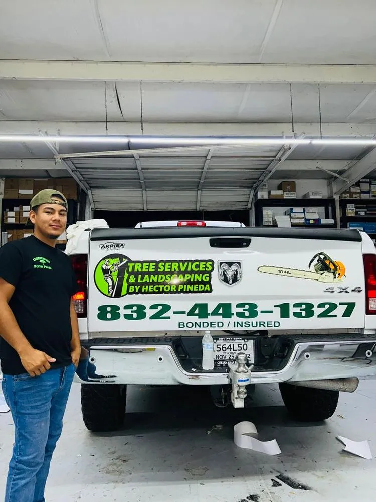 Reliable yard maintenance experts serving Houston, TX - Hector Pineda Tree Service