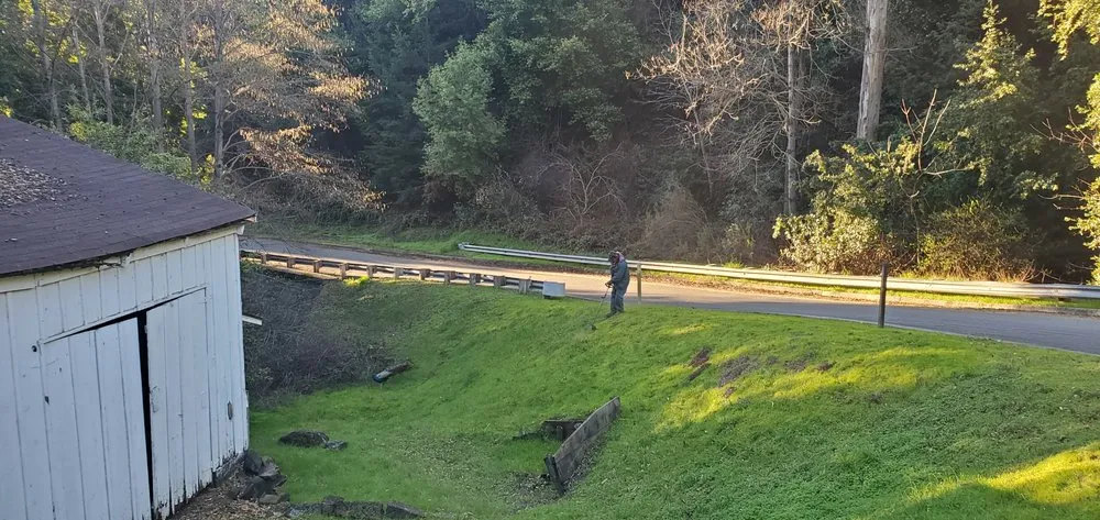 Affordable yard maintenance in San Jose, CA - Hector Pro Landscaping