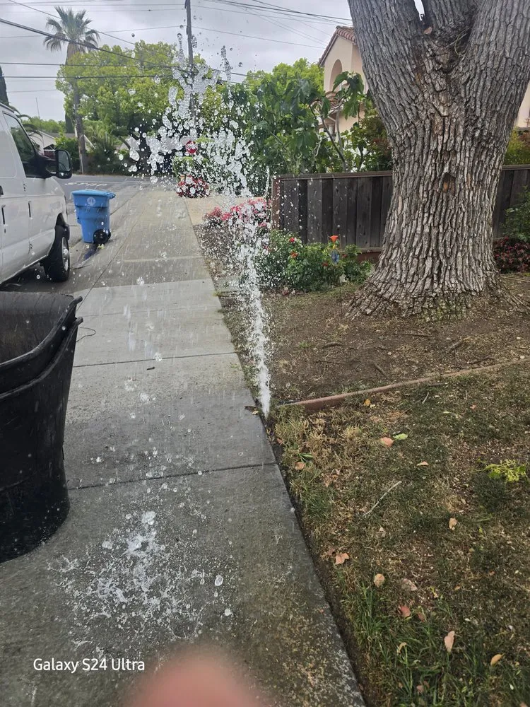 Affordable outdoor landscaping in San Jose, CA by Hector Pro Landscaping