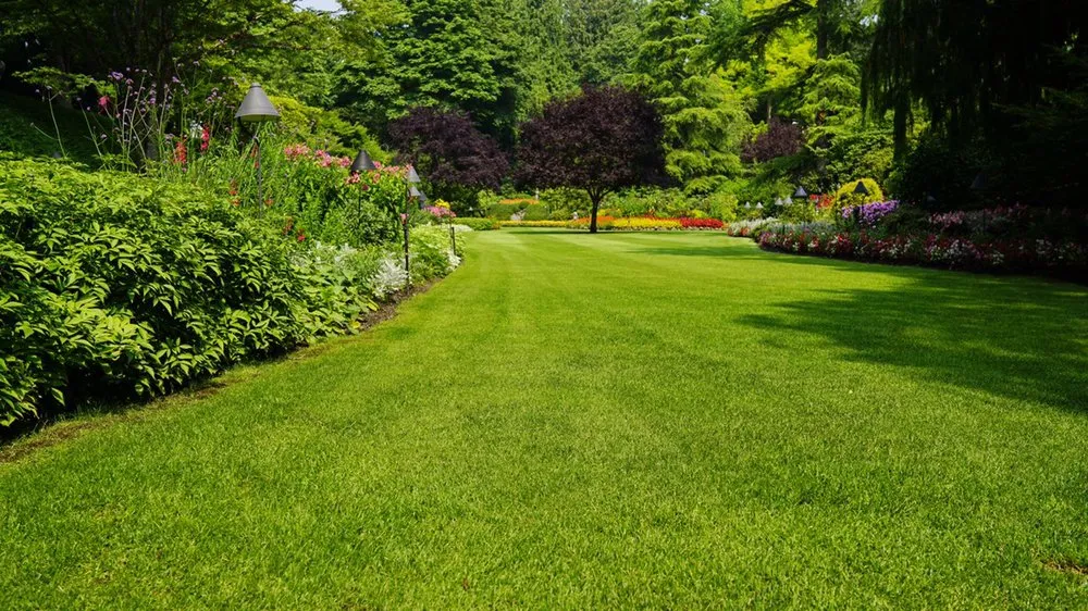 Local outdoor landscaping with custom design in Richmond, VA by Hector