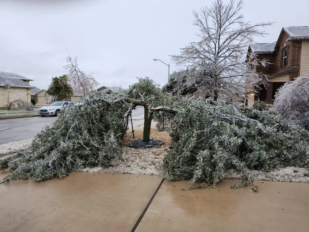 Trusted garden landscaping in Redwood City, CA by Hector Tree Service & Landscaping