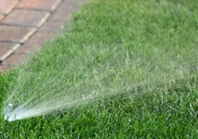 Top-rated residential landscaping near you in Redwood City, CA by Hector Tree Service & Landscaping