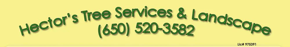 Trusted garden landscaping for beautiful yards in Redwood City, CA by Hector Tree Service & Landscaping